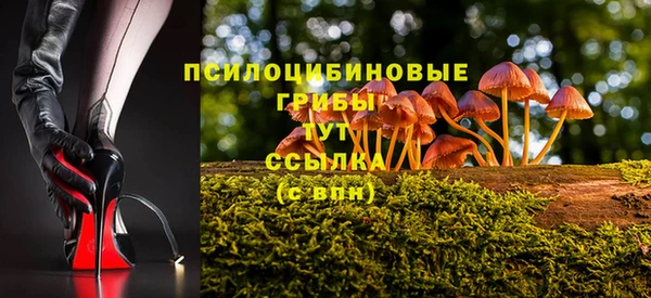 PSILOCYBIN Алексин