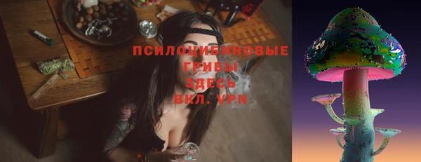 PSILOCYBIN Алексин