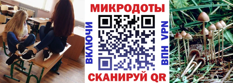 Галлюциногенные грибы GOLDEN TEACHER  Петровск-Забайкальский 